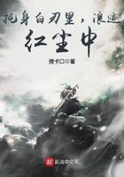 浪迹红尘中笔趣阁