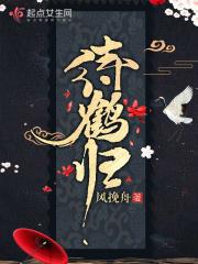 待鹤归讲的什么