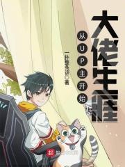 从零开始做up主