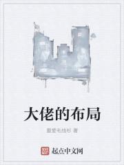大佬的结构