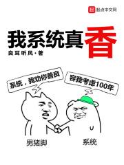 系统我很