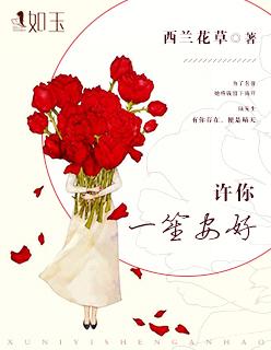 许你一生安易免费阅读