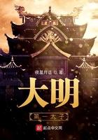大明第一太子123读