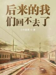 后来的我们回不去了是什么歌