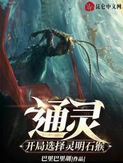 主角是灵明石猴的