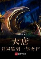 大唐之开局签到系统