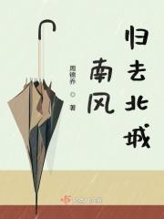 南风无归期全文阅读