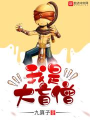 盲僧的大招是什么意思