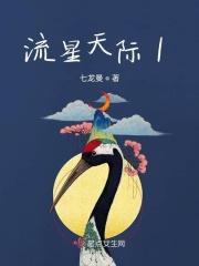 星际流星