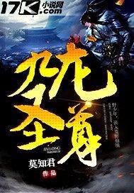 九龙圣祖顶点