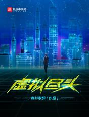 虚拟尽头顶点
