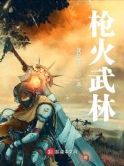 枪火精彩视频