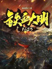 铁血大明有声