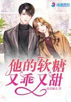 他的小软糖作者