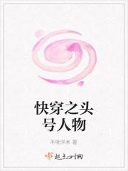 快穿之炮灰的升级指南txt