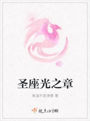 圣天之灵无限金币版