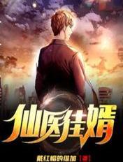仙医王婿