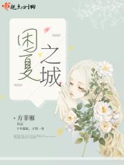 冰夏之城