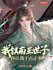 男主镇南王世子