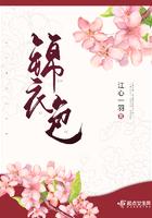 锦衣色全文阅读