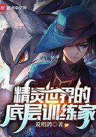 精灵世界的底层训练家实力划分