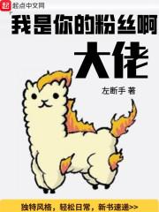 我是你的粉丝是什么意思