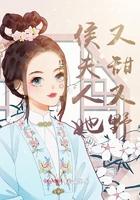 侯夫人她又美又娇免费阅读