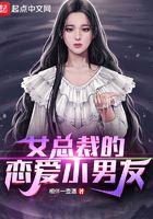 女总裁的爱情