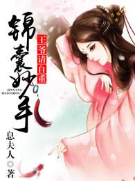锦王爷