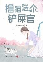 养猫 铲屎官