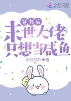 穿书末世之我是大佬继妹向来缘浅
