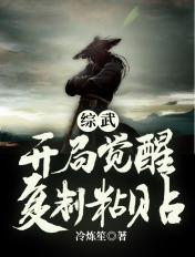 综武开局武功礼包