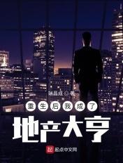 重生之地产大亨by捕快