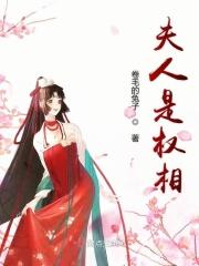 夫人他权倾天下