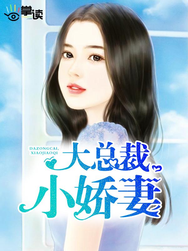 大总裁小娇妻
