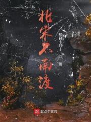 宋朝南渡指什么