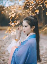 皇上太子妃文
