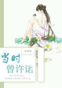 曾许诺吧