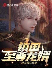 镇国龙婿叶飞