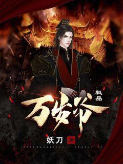 秦云萧淑妃穿越免广告