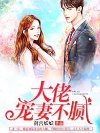 大佬宠妻不腻在线阅读