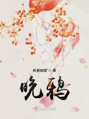 晚鸦飞去