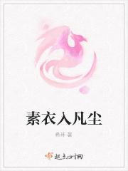 素衣音尘
