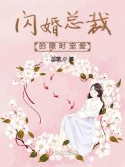 闪婚总裁超宠我