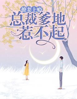 总裁老公撩妻上瘾