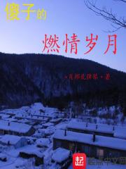 傻子燃烧的岁月txt