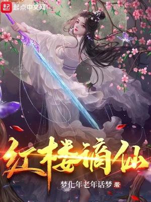 红楼谪仙最新章节更新