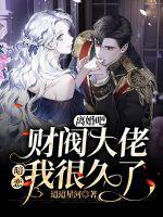 离婚吧总统大人宋离离免费