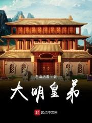 大明皇弟金刚不坏神功飞卢
