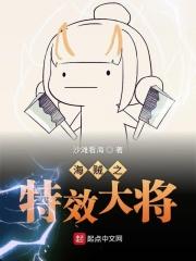 海贼之特效大将起点